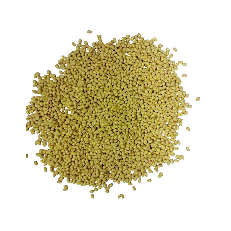 How do TPU granules balance the high elasticity of rubber and the processability of plastic, achieving a perfect combination of soft touch and structural strength?